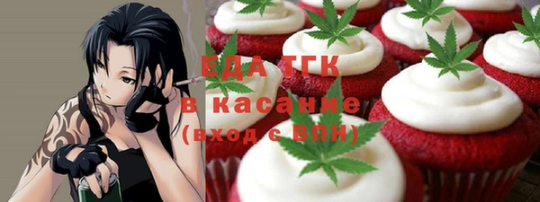 ECSTASY Горняк