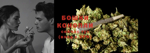 ECSTASY Горняк