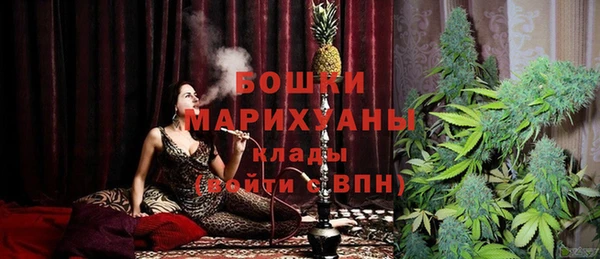 ECSTASY Горняк