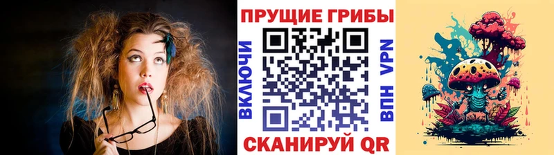 где найти наркотики  Елизово  Галлюциногенные грибы прущие грибы 